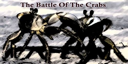 The Battle Of The Crabs