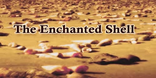 The Enchanted Shell