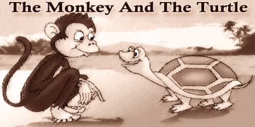 The Monkey And The Turtle
