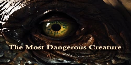 The Most Dangerous Creature
