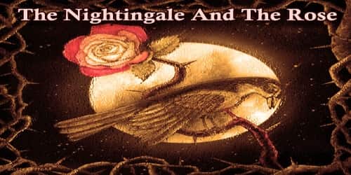 The Nightingale And The Rose