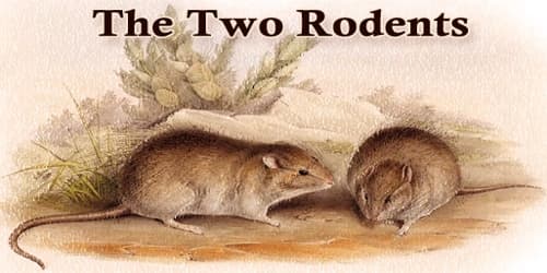 The Two Rodents