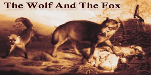 The Wolf And The Fox