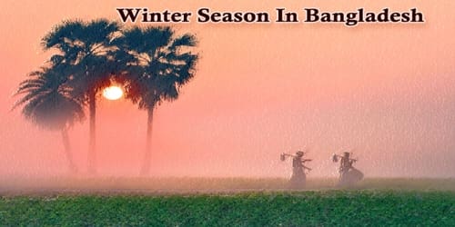 Essay On Winter Season In Bangladesh