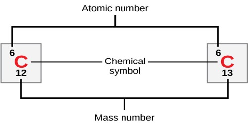 The Atomic Number