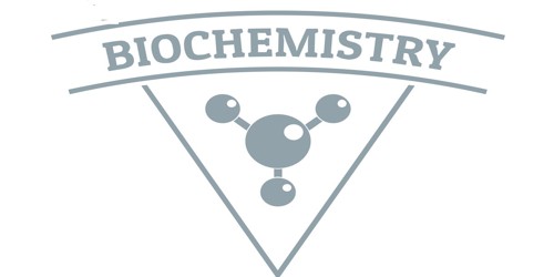 Biochemistry – a Study of Chemical Reactions