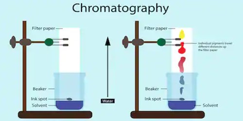 Chromatography in Chemistry