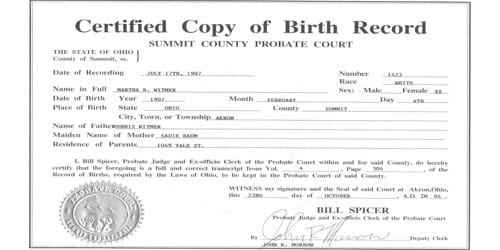 Application Format for Duplicate Copy of Birth Certificate