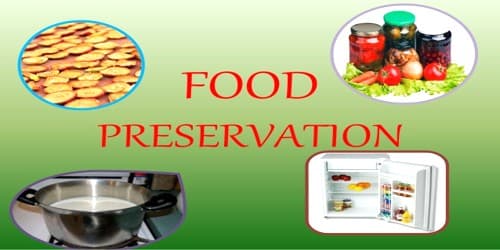 benefits of food preservation essay