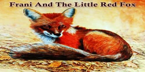 Frani And The Little Red Fox