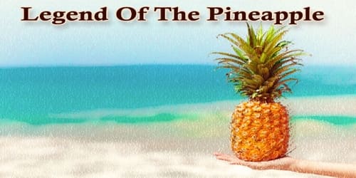 Legend Of The Pineapple