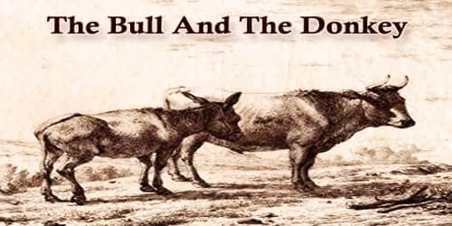 The Bull And The Donkey