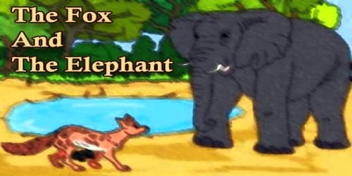 The Fox And The Elephant