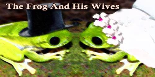 The Frog And His Wives