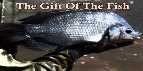 The Gift Of The Fish