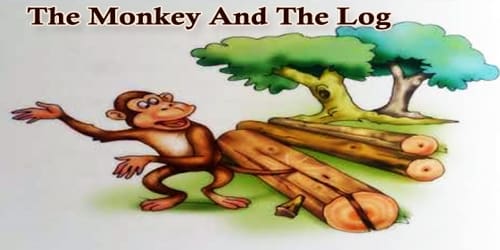 The Monkey And The Log