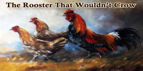 The Rooster That Wouldn’t Crow