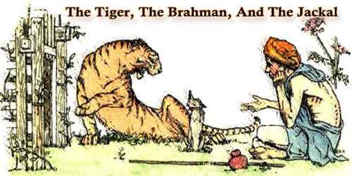 The Tiger, The Brahman, And The Jackal