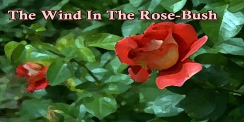 The Wind In The Rose-Bush