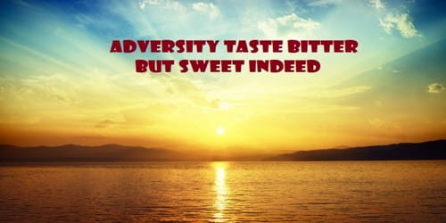 Adversity Taste Bitter but Sweet Indeed