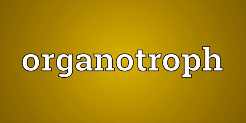 An Organotroph