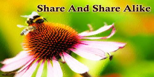 Share And Share Alike