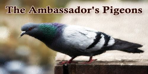 The Ambassador’s Pigeons