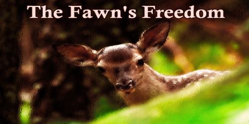 The Fawn’s Freedom