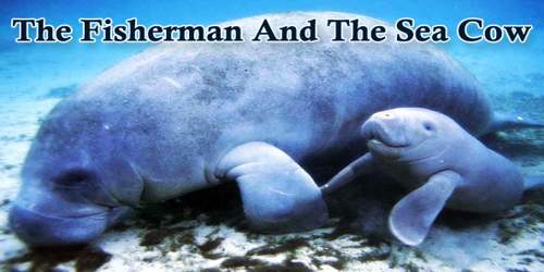 The Fisherman And The Sea Cow
