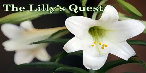 The Lily’s Quest