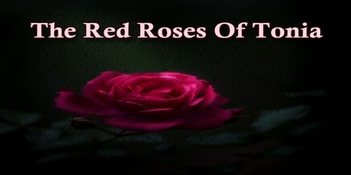 The Red Roses Of Tonia