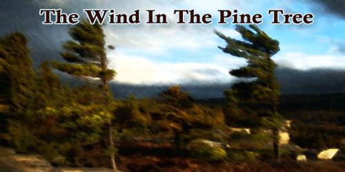 The Wind In The Pine Tree