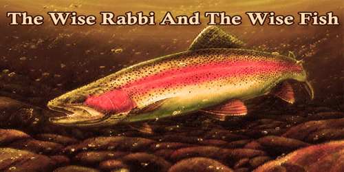 The Wise Rabbi And The Wise Fish