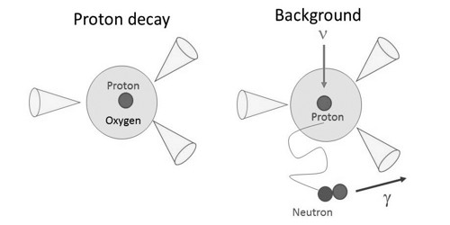 Proton Decay