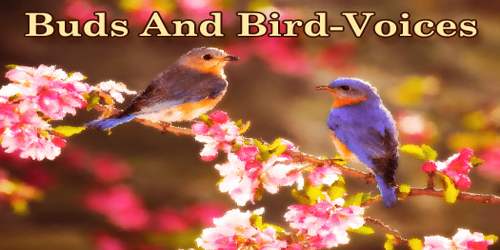 Buds And Bird-Voices
