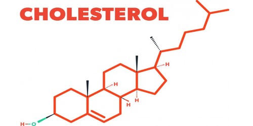 Cholesterol – a Molecule