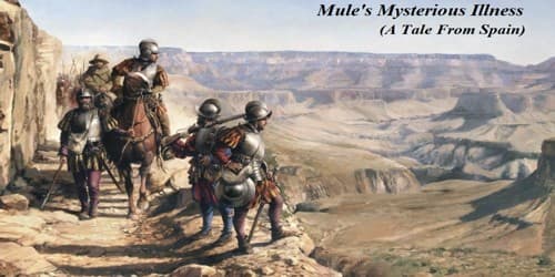 Mule’s Mysterious Illness