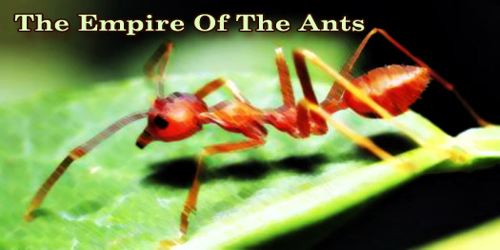 The Empire Of The Ants