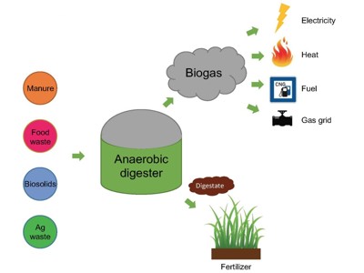 tackle bryllup bestemt Anaerobic Digestion - Assignment Point