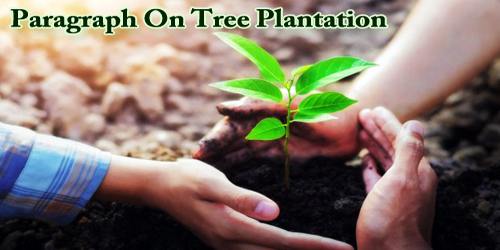 Paragraph On Tree Plantation