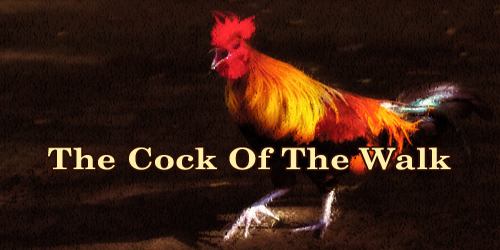 The Cock Of The Walk
