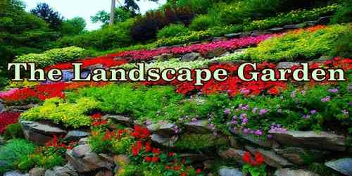 The Landscape Garden