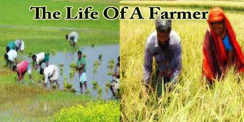 The Life Of A Farmer