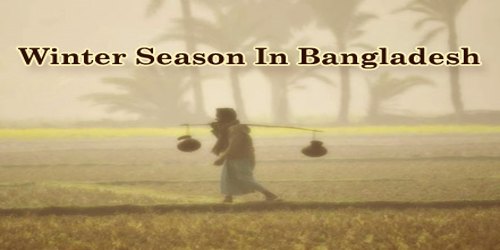 Winter Season In Bangladesh