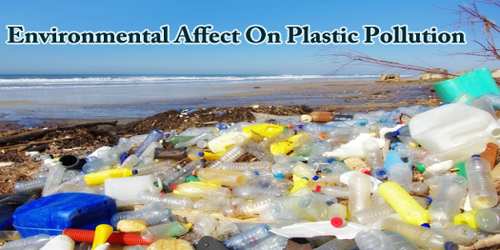 Environmental Affect On Plastic Pollution