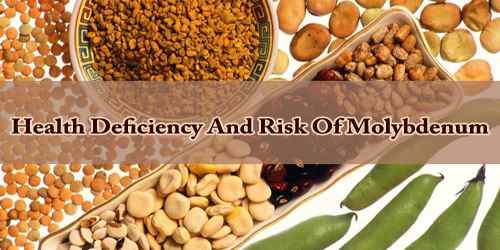 Health Deficiency And Risk Of Molybdenum