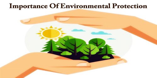 Importance Of Environmental Protection