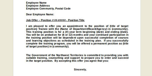 Job Offer Letter for the Position of IT Executive