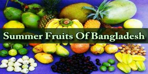 Summer Fruits Of Bangladesh