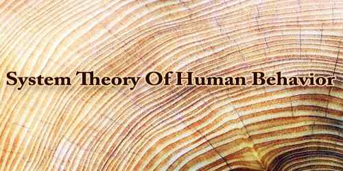 System Theory Of Human Behavior
